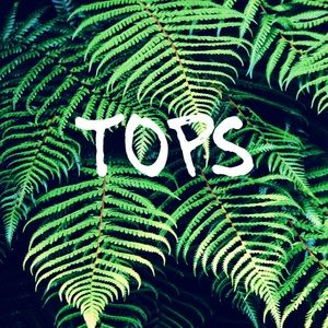 Collection of Women’s Tops and Blouses